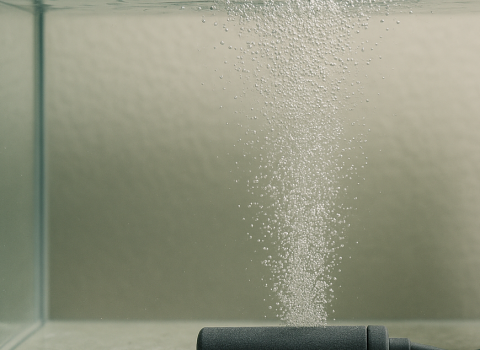 Fine Bubble 技術在農業與養殖的應用